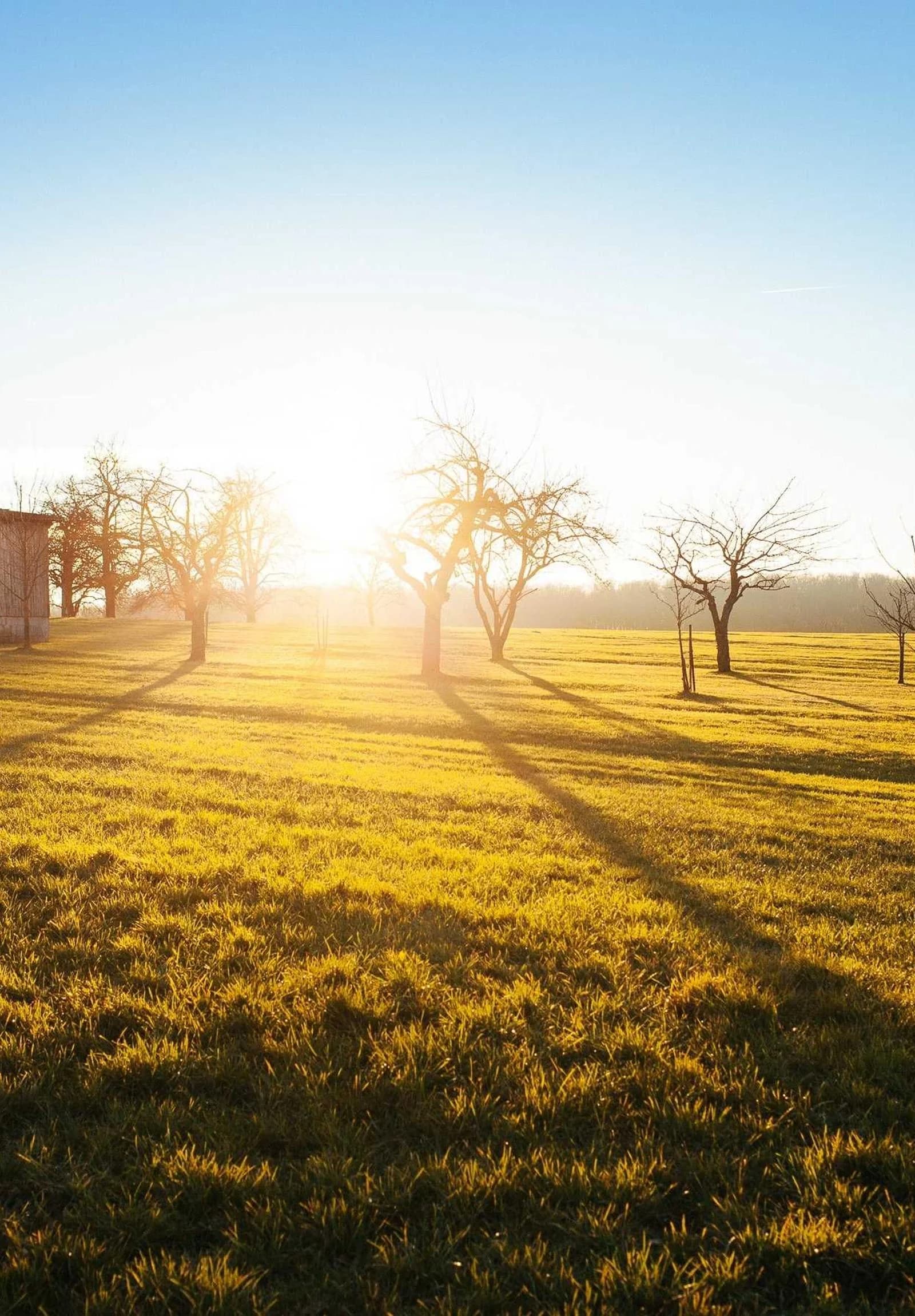 Ferme et pré au soleil couchant