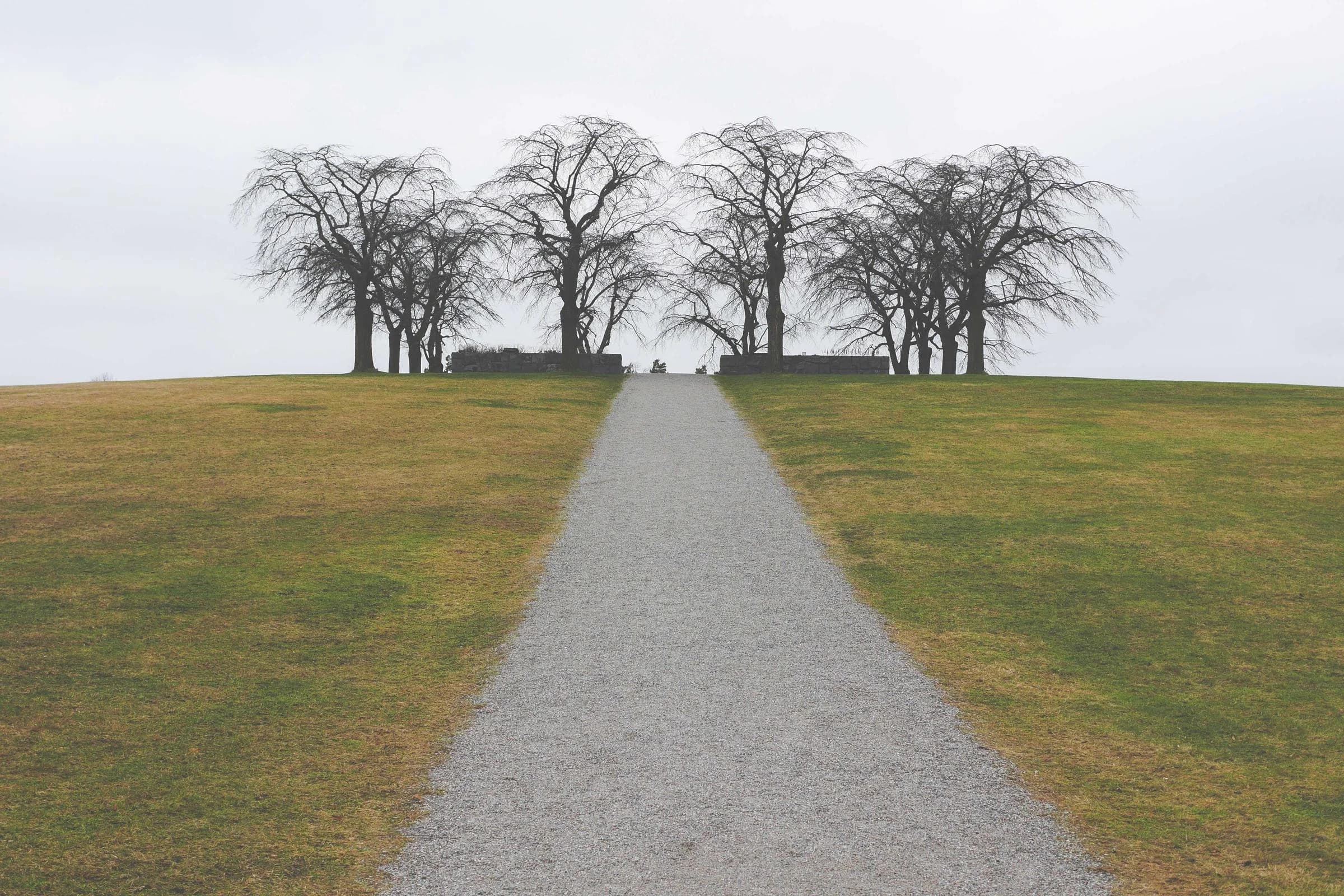 Allée droite vers un bouquet d’arbres sur un plateau