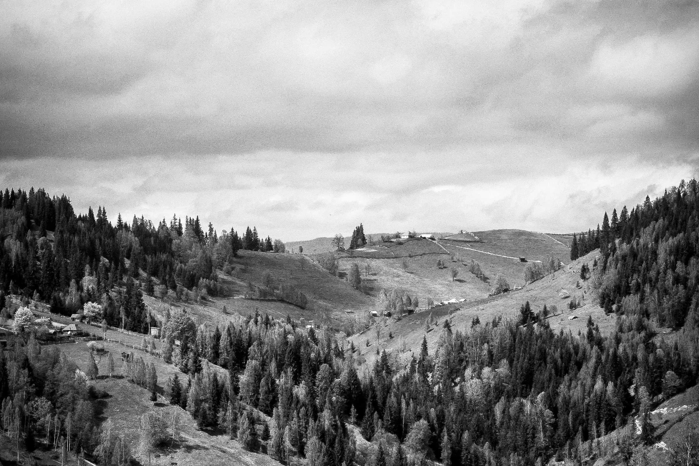 Collines et forêts sous la brume, en noir et blanc