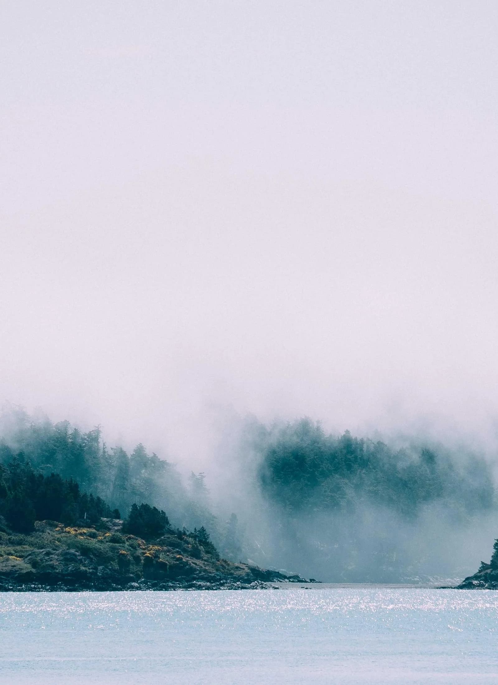 Brume posée sur un fjord entre des collines boisées